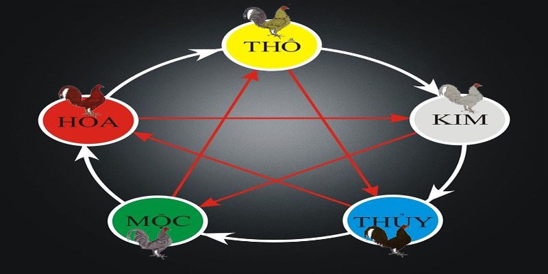 Các màu mạng đá gà phổ biến và mệnh hợp