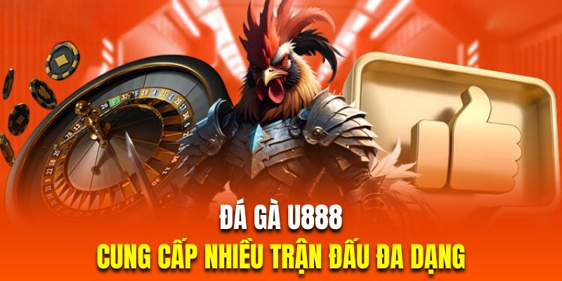 Sân chơi cung cấp đầy đủ các hình thức đá gà đặc sắc