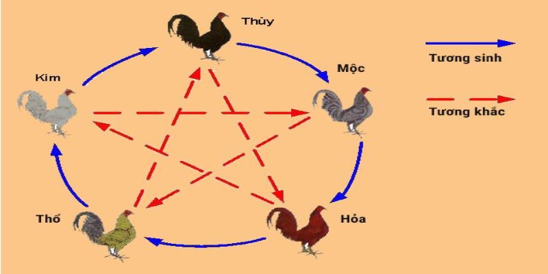 Những lưu ý khi chọn màu mạng đá gà