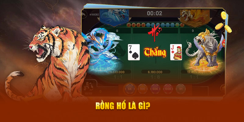 Rồng hổ là gì?
