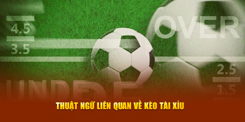 Thuật ngữ liên quan nhất về kèo Tài Xỉu